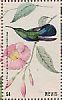 Green-throated Carib Eulampis holosericeus  2018 Hummingbirds Sheet