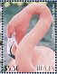 Greater Flamingo Phoenicopterus roseus  2021 Greater Flamingo Sheet