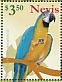 Blue-and-yellow Macaw Ara ararauna  2021 Macaws Sheet