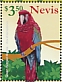 Red-and-green Macaw Ara chloropterus  2021 Macaws Sheet