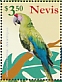 Great Green Macaw Ara ambiguus  2021 Macaws Sheet