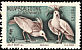 Kagu Rhynochetos jubatus  1948 Definitives 