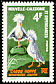 Kagu Rhynochetos jubatus  1967 Birds 