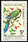 Horned Parakeet Eunymphicus cornutus  1967 Birds 