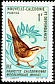 New Caledonian Thicketbird Cincloramphus mariae  1968 Birds 