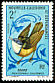 New Caledonia Whistler Pachycephala caledonica  1968 Birds 