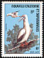 Red-footed Booby Sula sula  1976 Ocean birds 