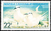 Black-naped Tern Sterna sumatrana  1978 Ocean birds 