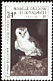 Eastern Barn Owl Tyto javanica  1983 Birds of prey 