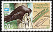 New Caledonian Crow Corvus moneduloides