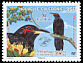 Crow Honeyeater Gymnomyza aubryana  2007 BirdLife International 