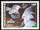 Kagu Rhynochetos jubatus  2007 BirdLife International 