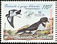 Polynesian Storm Petrel Nesofregetta fuliginosa