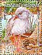 Kagu Rhynochetos jubatus  2011 Blue River national park 4v sheet