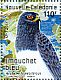 White-bellied Goshawk Accipiter haplochrous  2017 Diurnal raptors Sheet