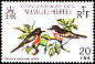 Pacific Robin Petroica pusilla