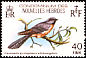 Fan-tailed Cuckoo Cacomantis flabelliformis