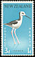 Pied Stilt Himantopus leucocephalus