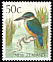 Sacred Kingfisher Todiramphus sanctus