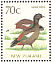 Paradise Shelduck Tadorna variegata  1989 WORLD STAMP EXPO 89  MS