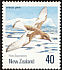 Antarctic Petrel Thalassoica antarctica