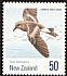 Wilson's Storm Petrel Oceanites oceanicus