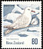 Southern Fulmar Fulmarus glacialoides