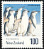 Chinstrap Penguin Pygoscelis antarcticus