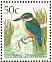 Sacred Kingfisher  Todiramphus sanctus