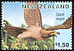 Giant Eagle Harpagornis moorei