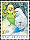 Budgerigar Melopsittacus undulatus