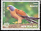 Lesser Kestrel Falco naumanni