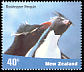 Southern Rockhopper Penguin Eudyptes chrysocome  2001 Penguins 