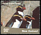 Snares Penguin Eudyptes robustus