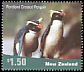 Fiordland Penguin Eudyptes pachyrhynchus