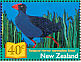 Australasian Swamphen Porphyrio melanotus