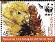 Kakapo Strigops habroptila  2005 WWF Strip