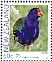 South Island Takahe Porphyrio hochstetteri  2011 Childrens health Sheet