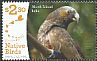 New Zealand Kaka Nestor meridionalis  2017 Recovering native birds 