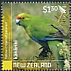 Yellow-crowned Parakeet Cyanoramphus auriceps