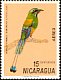 Turquoise-browed Motmot Eumomota superciliosa  1971 Nicaraguan birds 