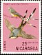 Scissor-tailed Flycatcher Tyrannus forficatus  1971 Nicaraguan birds 