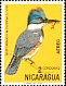 Belted Kingfisher Megaceryle alcyon  1971 Nicaraguan birds 