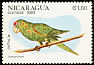 Finsch's Parakeet Psittacara finschi  1981 Birds 