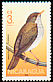 Orange-billed Nightingale-Thrush Catharus aurantiirostris  1986 Birds 