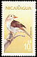 Ruddy-capped Nightingale-Thrush Catharus frantzii  1986 Birds 