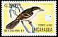 Great Antshrike Taraba major  1989 Brasiliana 89 