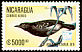 White-flanked Antwren Myrmotherula axillaris  1989 Brasiliana 89 