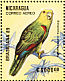 Yellow-headed Amazon Amazona oratrix  1989 Brasiliana 89  MS