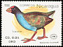 South Island Takahe Porphyrio hochstetteri  1990 New Zealand 90 